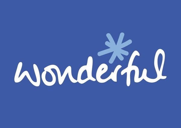 wonderful charity logo
